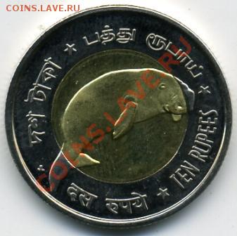 Продам простые иностранные монеты.МНОГО! - 10 рупий 2011.JPEG