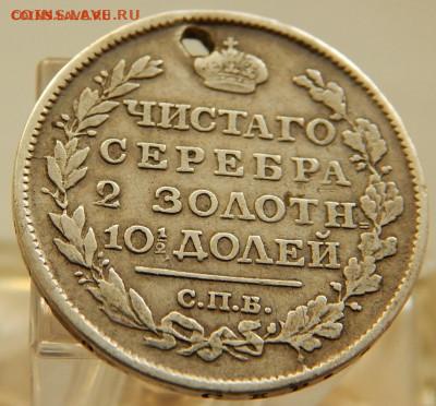 Трупы! Слабонервным не смотреть! - DSCN5856