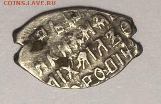 Помощь в определении чешуйки - 1