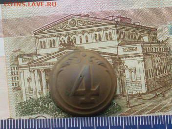 Звездочка и пуга - SL380008.JPG