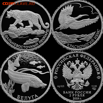 ФИКС 2019 красная книга Белуга, Ибис, Леопард - 5jq7abfpac8wcowogkww4ss00cwgc8