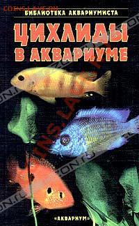 И ОПЯТЬ УГАДАЙКА 6.08.11 - 8226