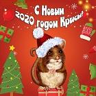 Традиционный снайпер- 2020 - нгп