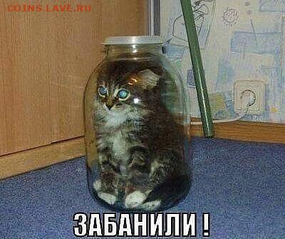 юмор - i