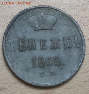 денежка 1855 г до 14.02.2020 г 22-00 мкс - д3.PNG