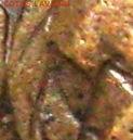 Шт.1.2 - 2512002a1.JPG