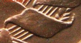Нижний завиток НЕ касается зерна (короткий) - Ж1 (1011a).JPG