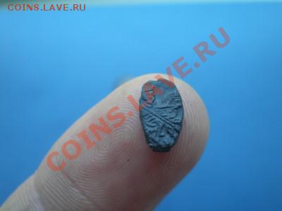 Кукенойсский чекан??? - IMGP0297.JPG