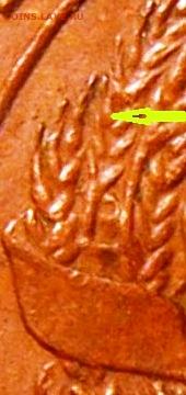 3 зерно с остью на 4-м ость оттопырена - В4 (1053a)11