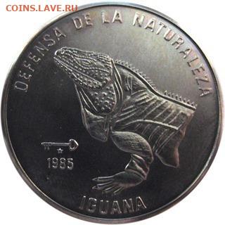 Куба.1985.1 песо.Голова Игуаны UNC KM#126 до 17.05в22.00 - 448147056