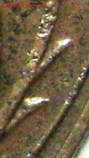 1 копейка 1925 - А (2512001b)