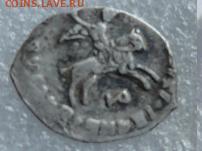 чешуя - DSC05921.JPG