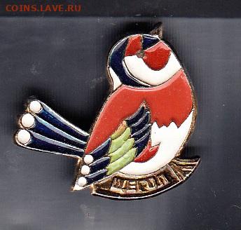 СССР значки птицы щегол до 02 09 - 31