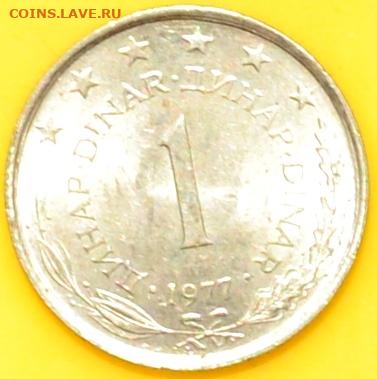 Югославия 1 динар 1977. 23. 09. 2020 в 22 - 00. - DSC_0679.JPG