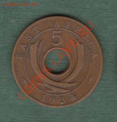 Британская Восточная Африка, 5 Центов 1934 (20.09) - afr31