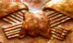 В срезе справа 5 стеблей -   нижний отставлен - А9 (3044a)