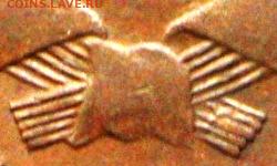 В срезе справа 5 стеблей -   два снизу стебля – короткие - А6 (3020a).JPG
