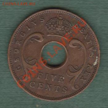 Британская Восточная Африка, 5 Центов 1951 (25.09) - e12