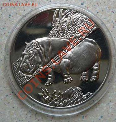 Сьерра-Леоне 1$  Бегемот 2005  г до 24.09.11.21-00 - P1120910_thumb