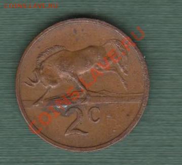 ЮАР, 2 Цента 1969 "Козлик" (25.09) - afr19