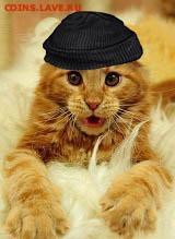 делает - прямо сейчас !!! - 2223