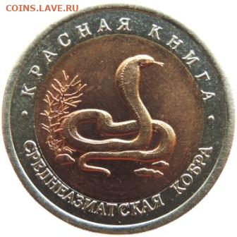 10р 1992г Красная книга "Кобра" до 19.01.21г в 22.00 Мск - DSCN6782.JPG