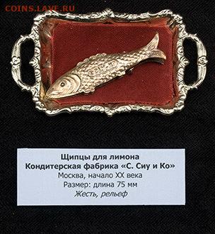 Неопознанная фурнитура-2 - щип