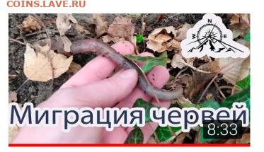 Мой видео канал Копатыч channel - IMG_20210223_164525