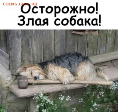 юмор - Безымянный