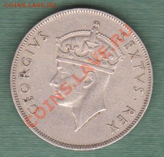 Британская Восточная Африка, 1 Шиллинг 1950 "Лев" (20.10) - 5