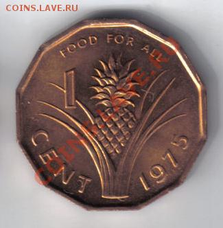Свазиленд 1 цент 1975 FAO до 21.10 21.00мск - Свазиленд 1 цент 1975  FAO-2