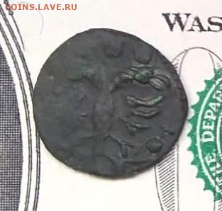 ВРП полушка 1722г. Подлинность, оценка. - 771d12af-2e5f-4462-89ee-ad40aceba1d9