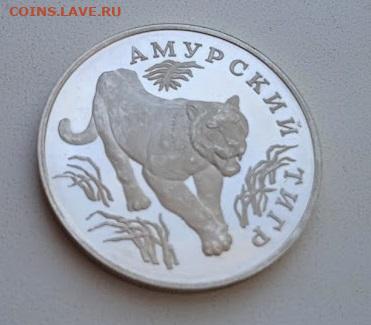 1 рубль 1993 г Амурский тигр - Тигр5