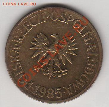 Польша 5 злотых 1985 03.11.2011 21-00 - 5 зл р