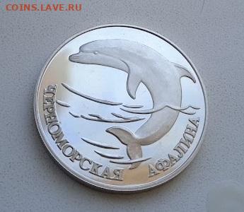 1 рубль 1995 Черноморская Афалина,серебро - Афалина3