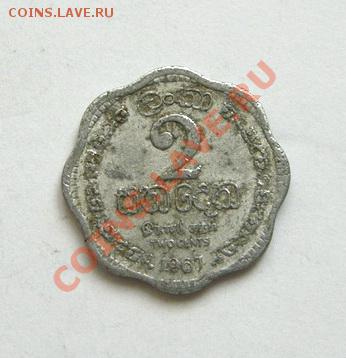 Азия, наверно. Помогите определить. - 04
