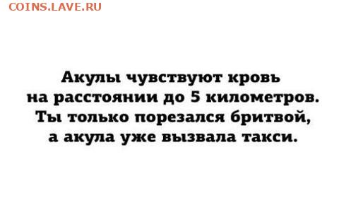 юмор - 17116017