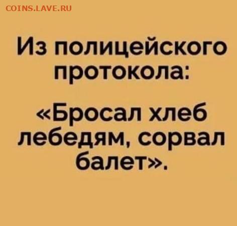 юмор - IMG-20221013-WA0001