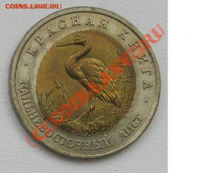 Красная книга 1993г. Дальневосточный аист. Смещение. - 11_1_~4.JPG