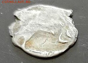 Два лота чешуи на определение подлинности - 1b