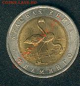 Красная книга-94. Фламинго. До 17.12 22-00. Старт - 750 - flamingo