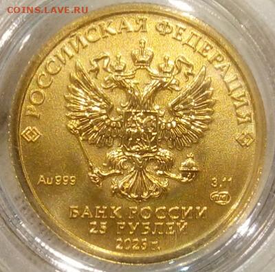 25 Рублей 2023 Победоносец 3,11 гр 999пр (4) до 06.06.23 - IMG_20230604_234052
