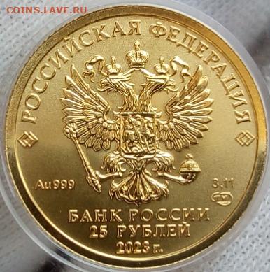 25 Рублей 2023 Победоносец 3,11 гр 999пр (2) до 06.07.23 - IMG_20230705_155534