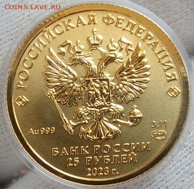 25 Рублей 2023 Победоносец 3,11 гр 999пр до 22.07.23 - IMG_20230705_155832