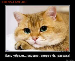 Юмор - загруженное