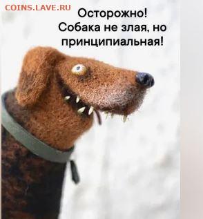 Юмор - Собака.JPG