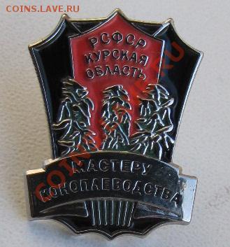 Значок Мастеру коноплеводства РСФСР Курская область "Копия" - IMG_3041.JPG