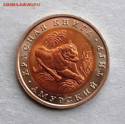 КК 10 руб. Амурский тигр до 26.07.22:00 - тигр1