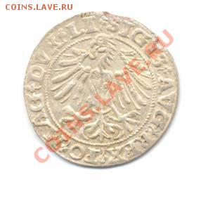 Ролугрош 1549г. Литва.оцените? - 1549