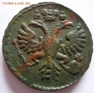 Куплю Денги и Полушки 1730-1754 гг в отличном состоянии - P1130932.JPG